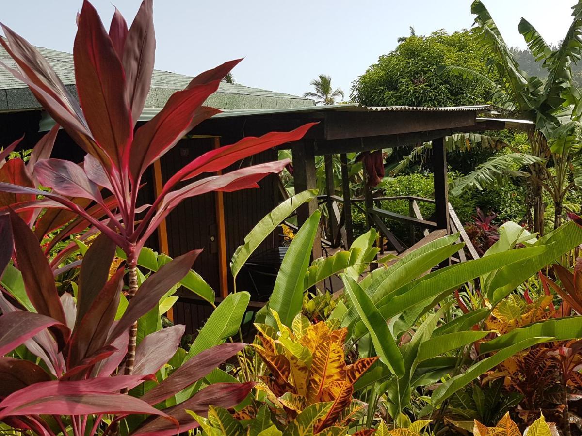 Hibiscus Valley Inn Marigot Екстериор снимка