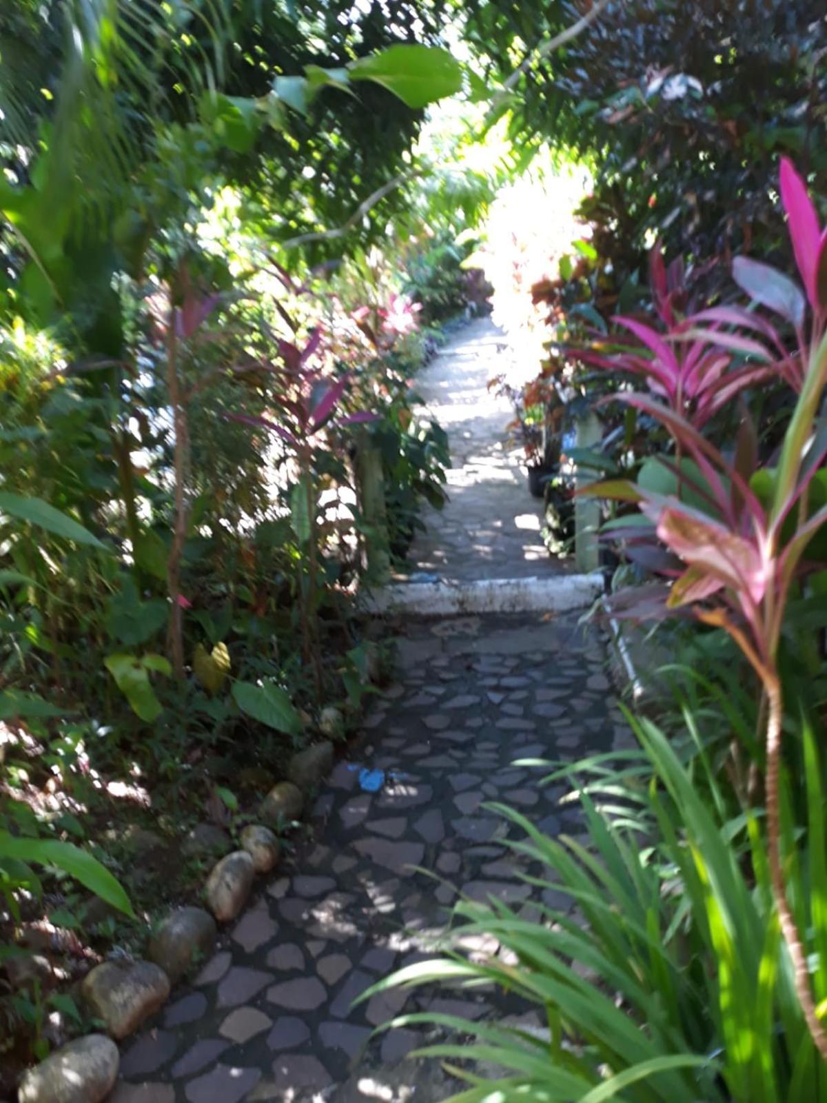 Hibiscus Valley Inn Marigot Екстериор снимка