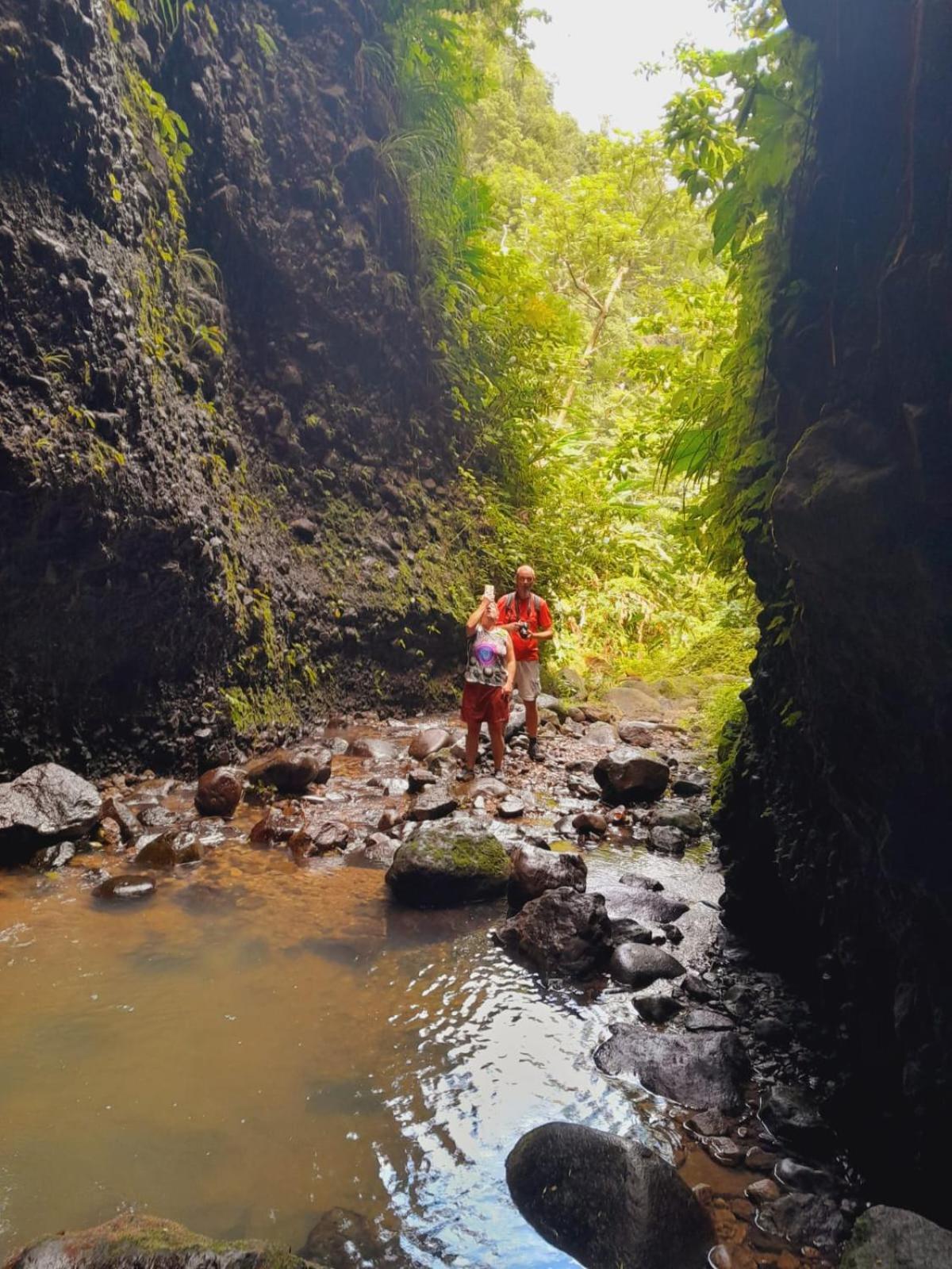 Hibiscus Valley Inn Marigot Екстериор снимка