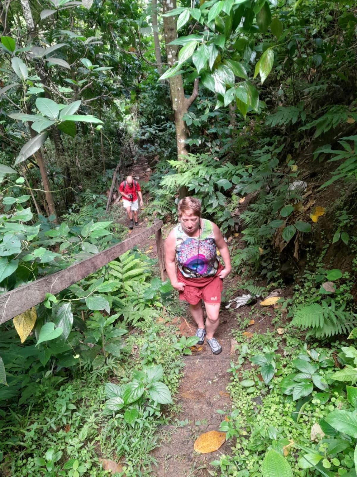 Hibiscus Valley Inn Marigot Екстериор снимка
