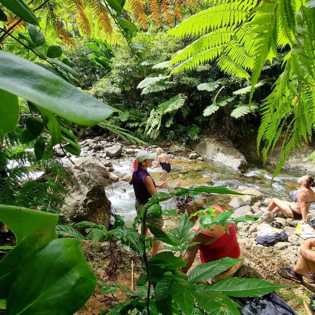 Hibiscus Valley Inn Marigot Екстериор снимка