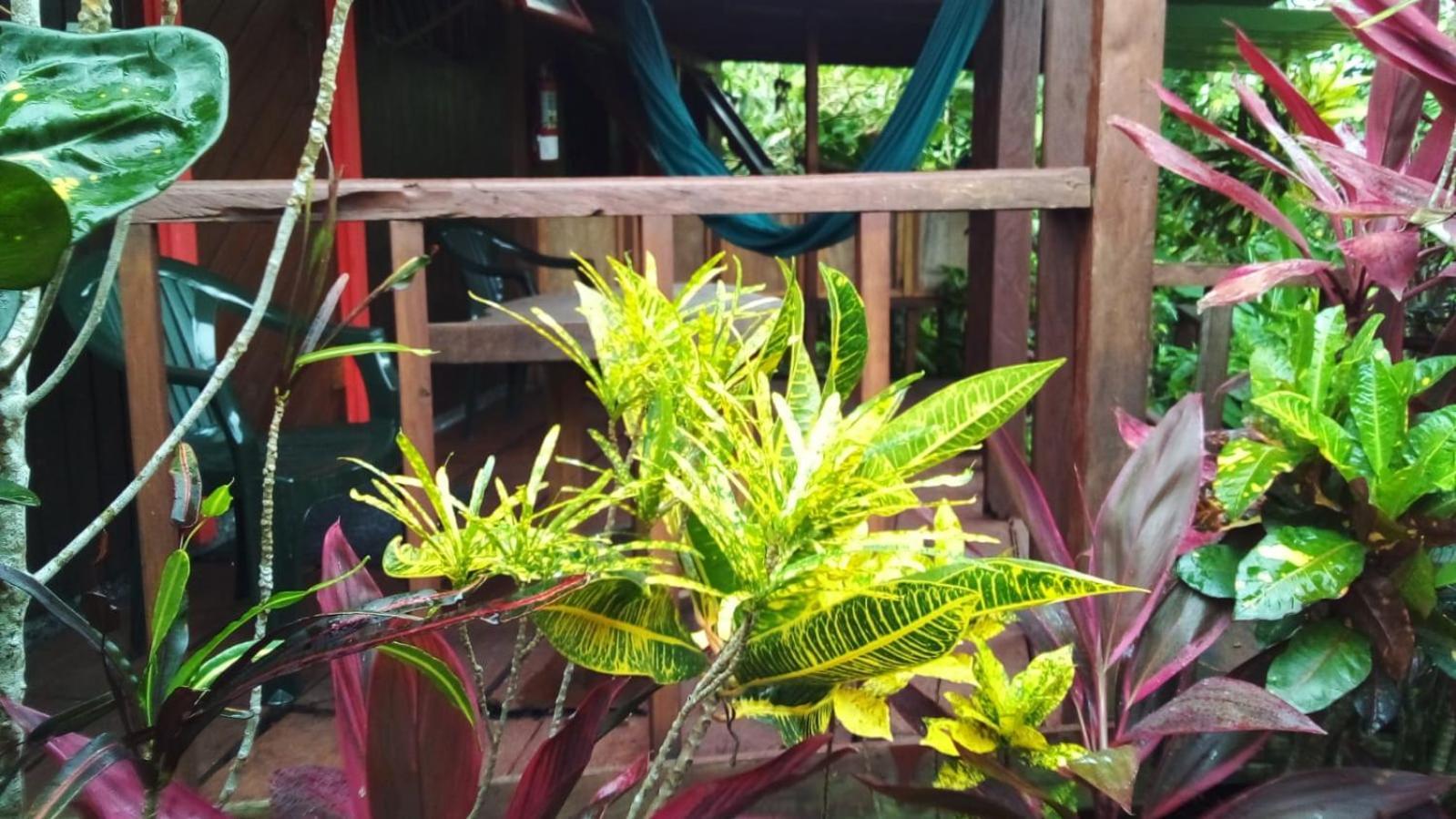 Hibiscus Valley Inn Marigot Екстериор снимка