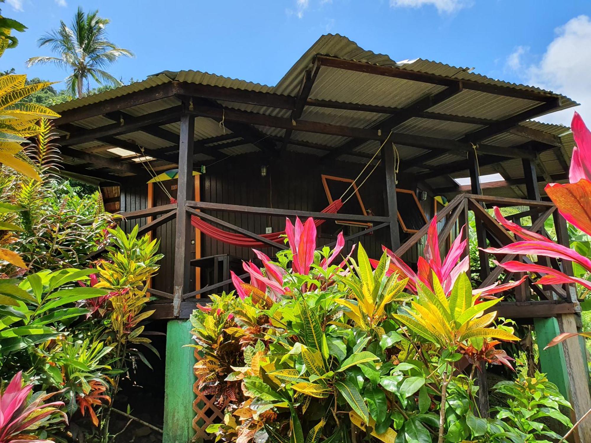 Hibiscus Valley Inn Marigot Екстериор снимка