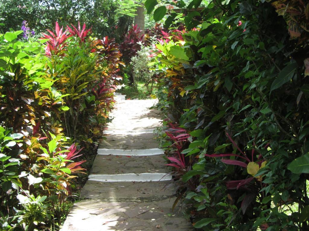Hibiscus Valley Inn Marigot Стая снимка