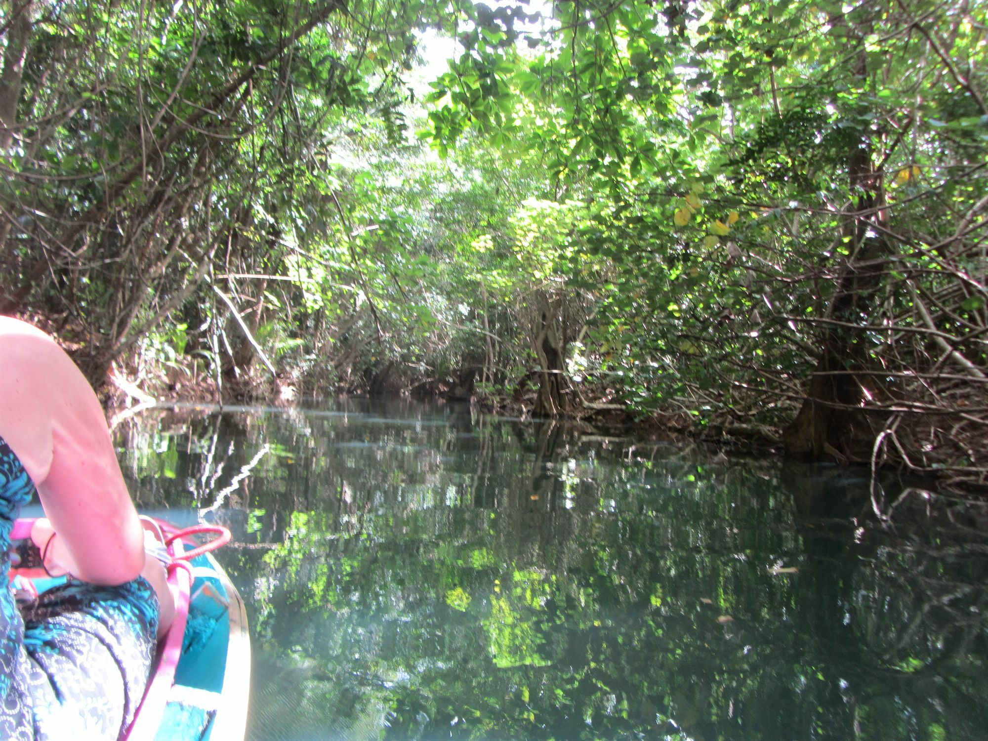 Hibiscus Valley Inn Marigot Екстериор снимка