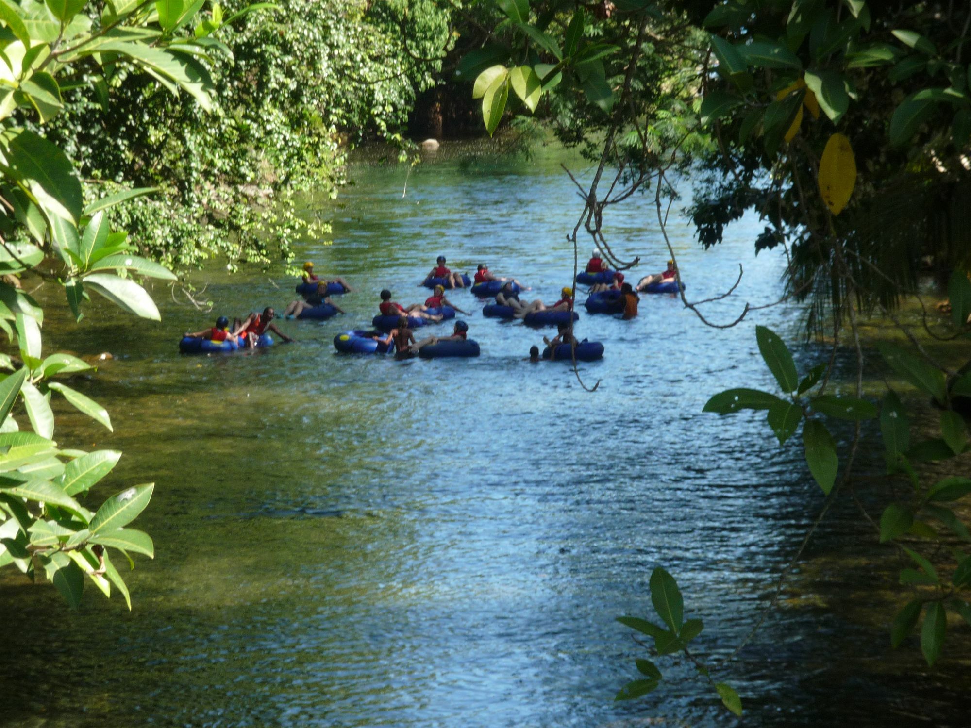 Hibiscus Valley Inn Marigot Екстериор снимка
