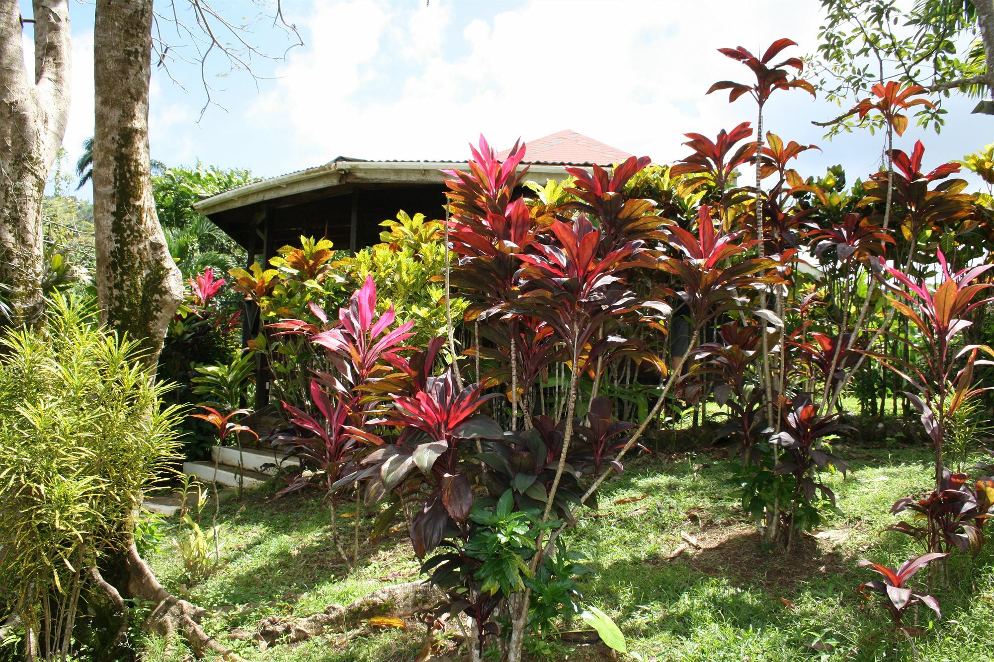 Hibiscus Valley Inn Marigot Екстериор снимка