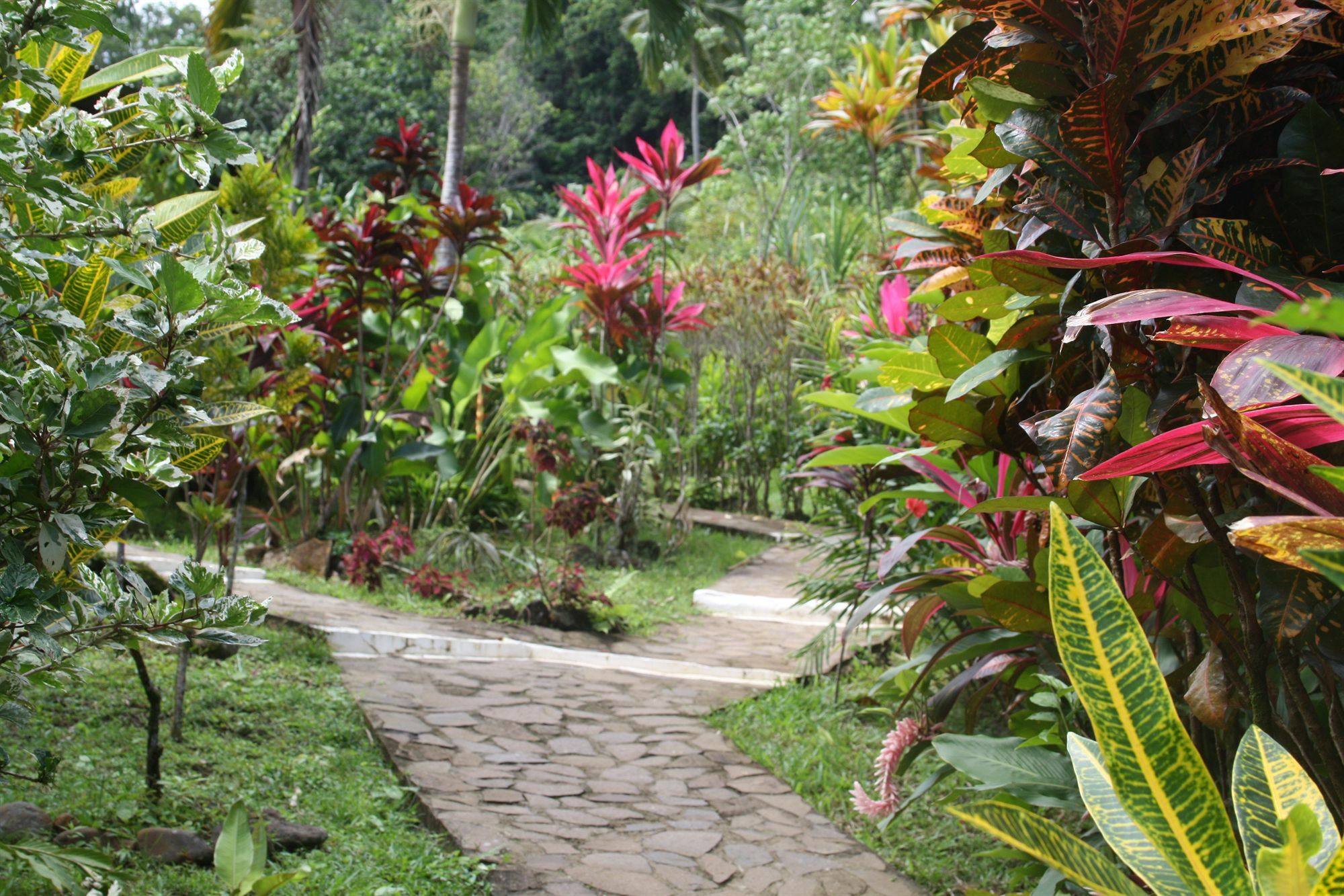 Hibiscus Valley Inn Marigot Екстериор снимка